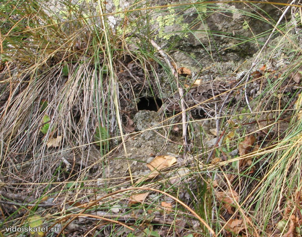 ����� ������ ��� ���� ���� :)
